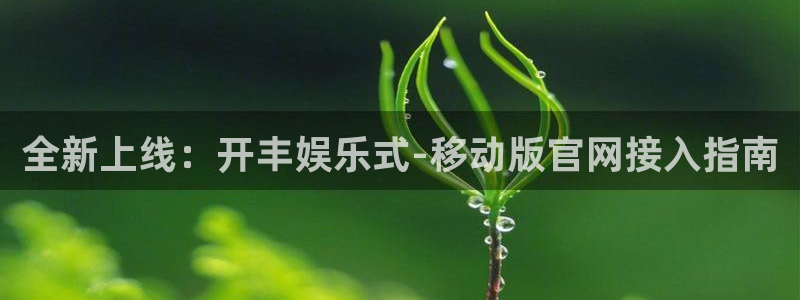 伟德国际旗下有哪些品牌