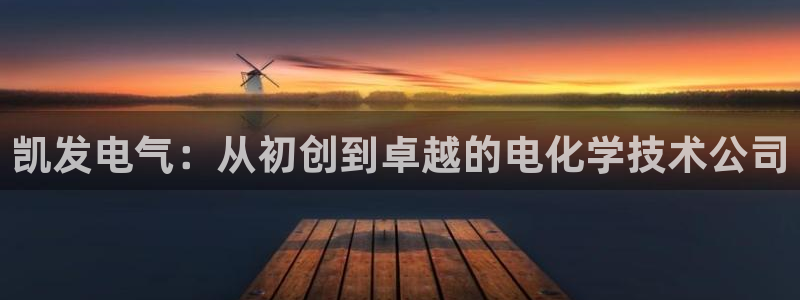 伟德国际公司