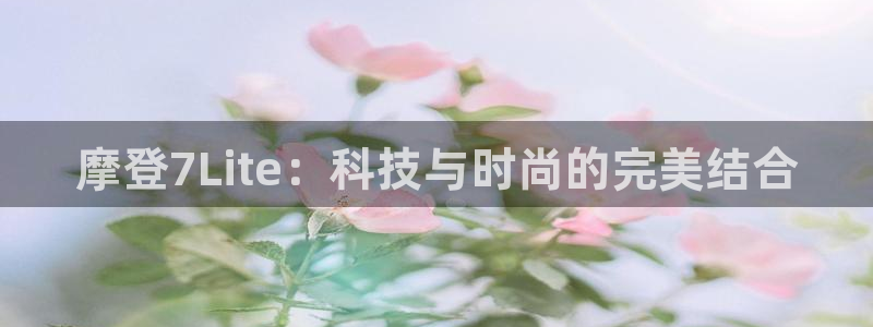 伟德国际中文