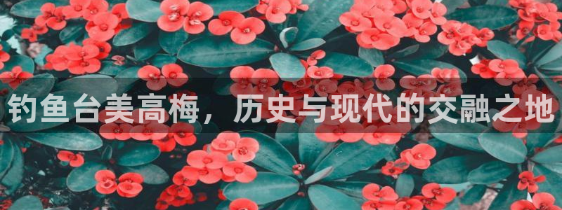 伟德国际1946体育