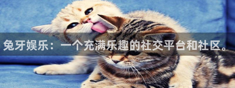 伟德国际吧