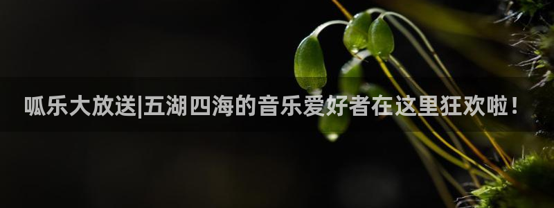 伟德app下载