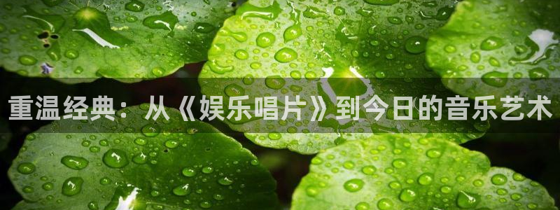 伟德国际官网