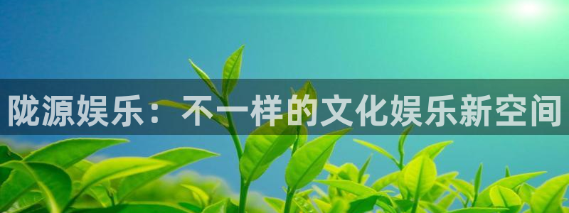 伟德国际1949：陇源娱乐：不一样的文化娱乐新空间