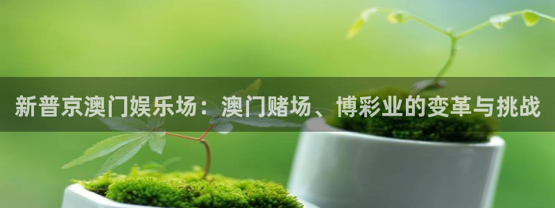 伟德国际中文
