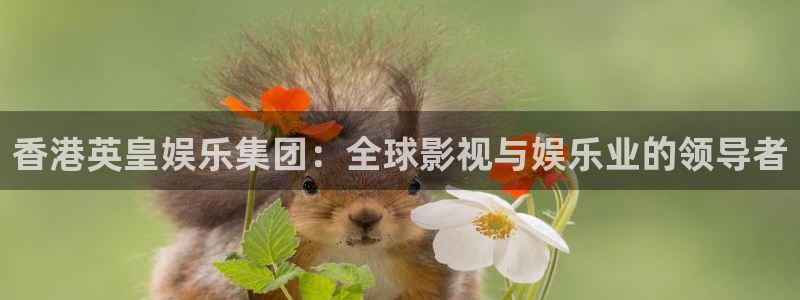 伟德国际公司
