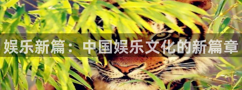 伟德国际1946体育