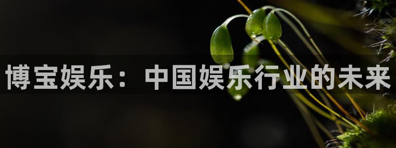 伟德国际企业有限公司