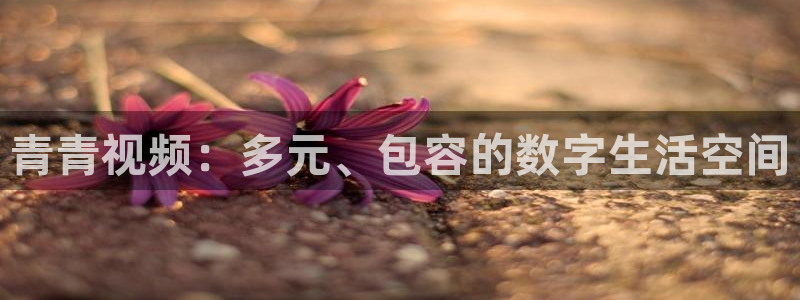 伟德国际企业有限公司